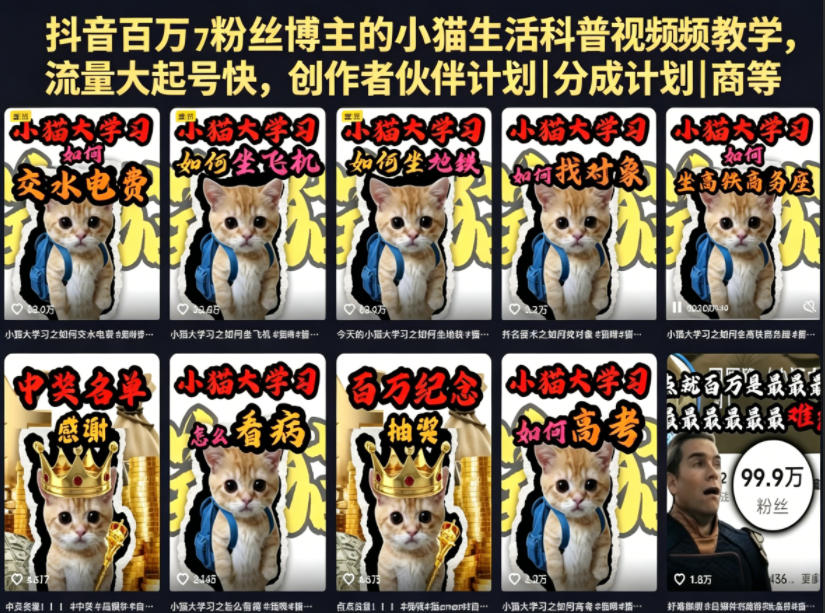 抖音百万粉丝博主的小猫生活科普视频教学,流量大起号快,创作者伙伴计划|分成计划|商单|收徒等_