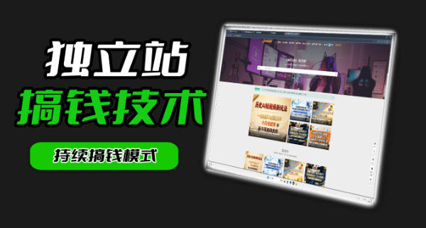 干货来袭!麦子甜带你吃透独立站|从搭建到引流一站式教学《独立站》第一期_
