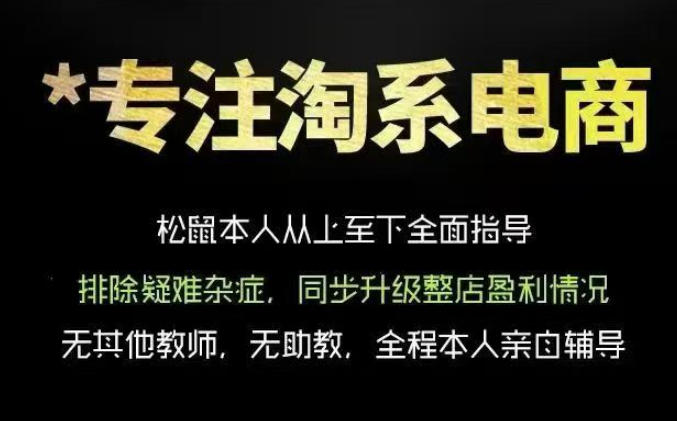 松鼠会电商VIP课程,从基础布局到高阶优化,助你掌握淘宝运营逻辑,提升店铺流量与转化_