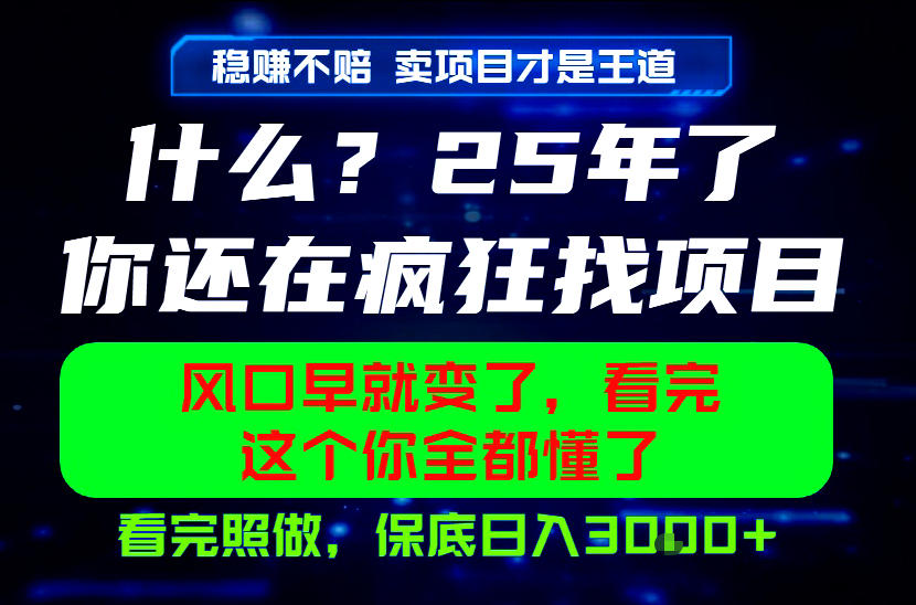 26年,请不要疯狂的找项目做了!卖项目才是真的稳賺不赔,看完照做,保底日入1k+【揭秘】_