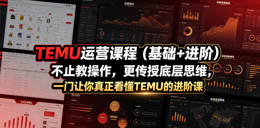 TEMU运营课程(基础+进阶)，不止教操作，更传授底层思维，一门让你真正看懂TEMU的进阶课_