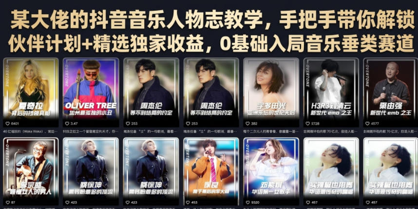 某大佬的抖音音乐人物志教学，手把手带你解锁伙伴计划+精选独家收益，0基础入局音乐垂类赛道_